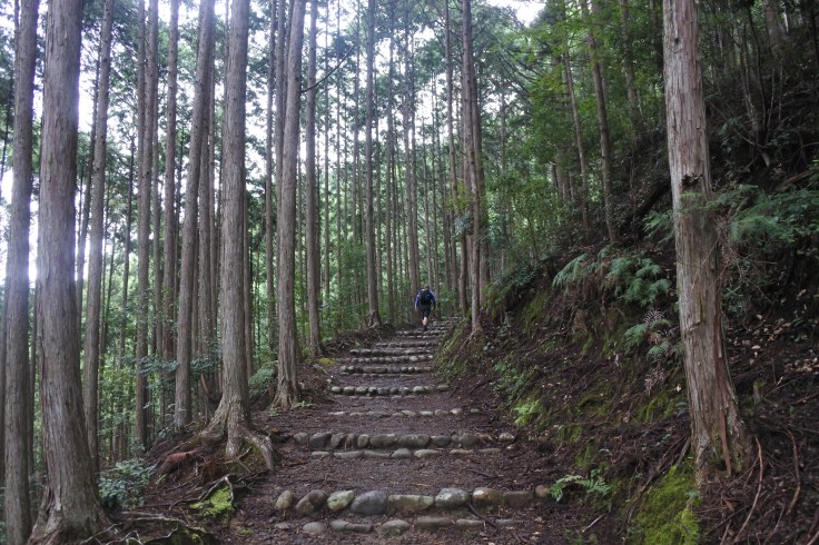 Steps on the Kumano Kodo leaving Ukegawa.